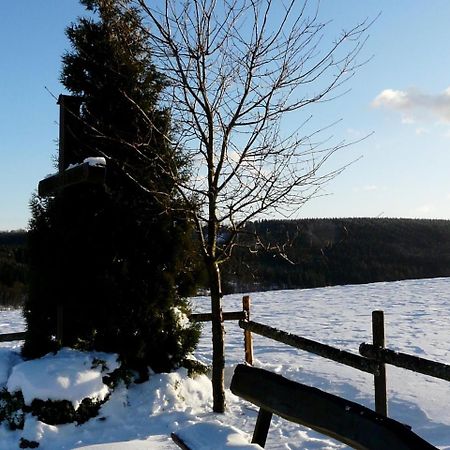 Comfortable Holiday Home In Neuastenberg Вінтерберг Екстер'єр фото