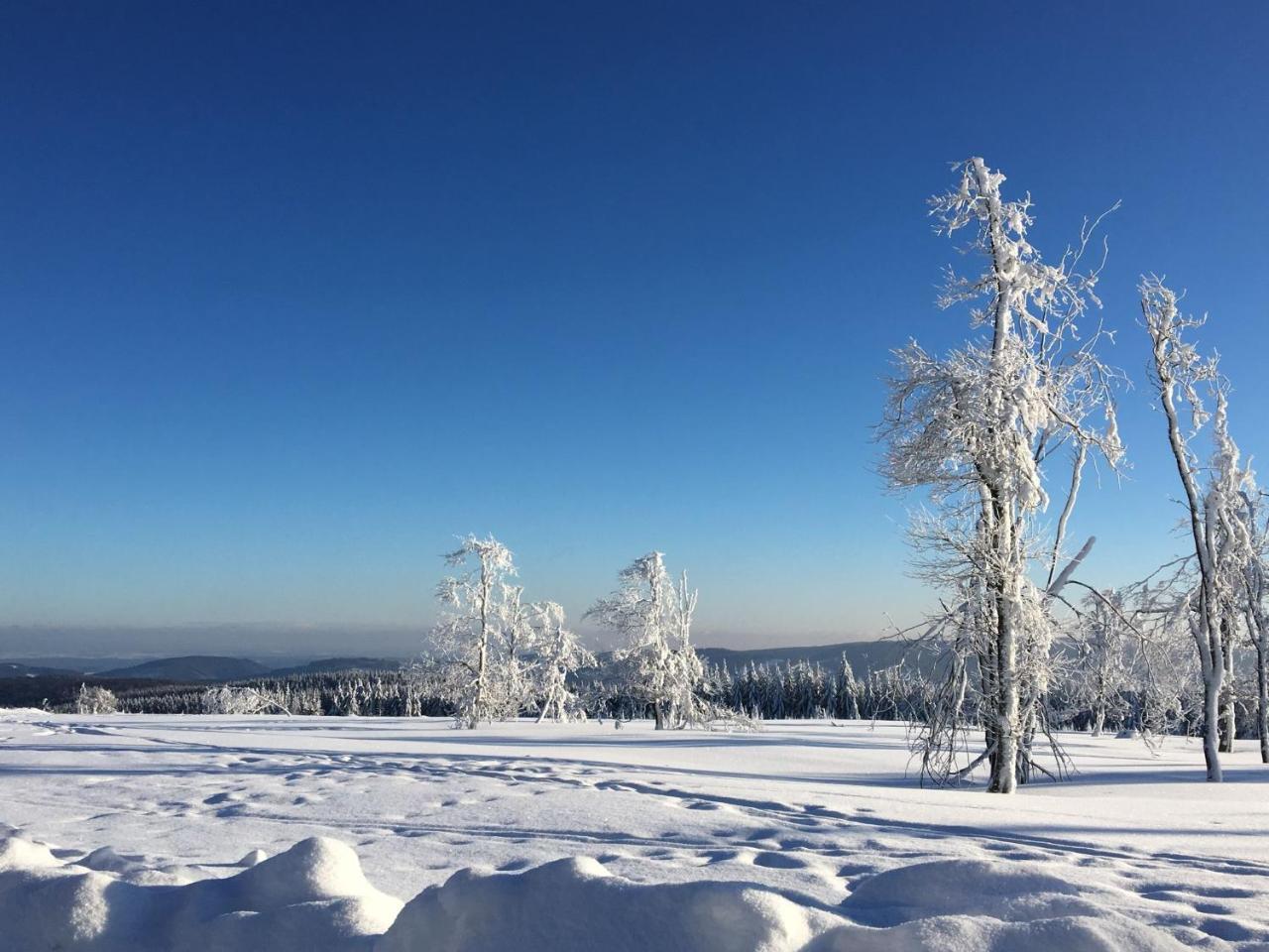 Comfortable Holiday Home In Neuastenberg Вінтерберг Екстер'єр фото