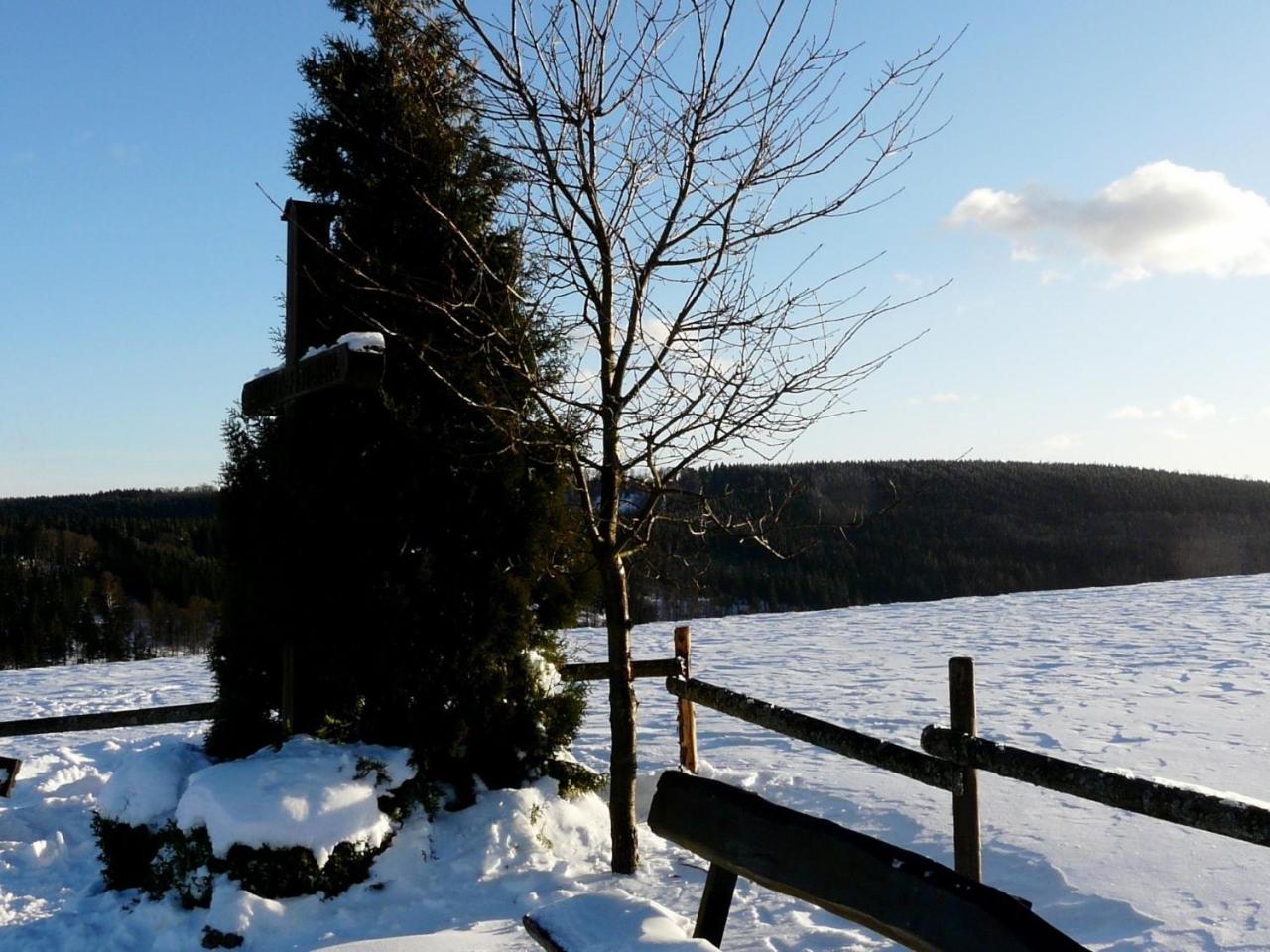 Comfortable Holiday Home In Neuastenberg Вінтерберг Екстер'єр фото